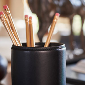 What do you get a sexy sensual nerd who is also a top rated bbw curvy female vegas massage escort? The picture is a leather pencil cup with several #2 yellow pencils inside.